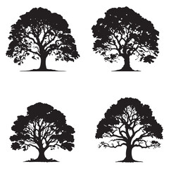 set of Banyan trees silhouettes. Big tree black silhouette