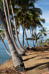 Paradis sur terre