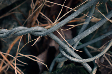 Wire fence knot with rocks in the background.