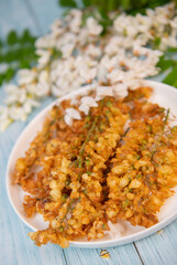 Acacia flowers fritters, Blossoming acacia with leafs, , Robinia pseudoacacia, White acacia, High quality photo