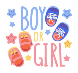 Girl or boy, lettering written with elegant calligraphic font and decorated with booties, dummy. Gender party concept.