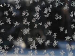 Płatki śniegu na szybie Snowflakes on the grass - obrazy, fototapety, plakaty