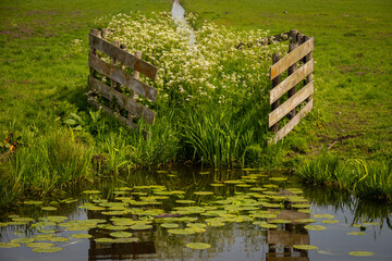 water in slot is lower level than canal as part of drainage and flood management system for the ...