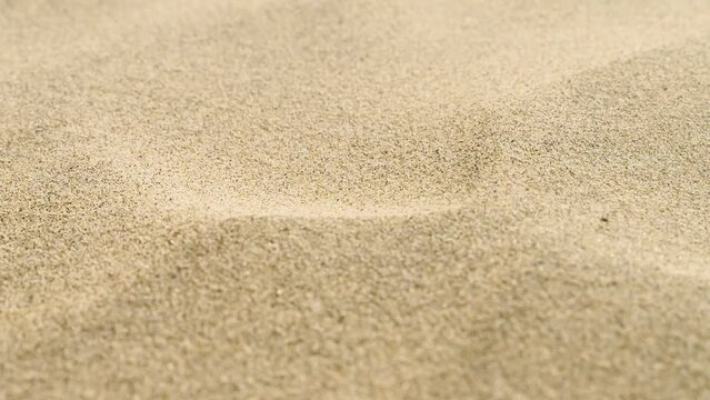 Gold sand texture background. Macro beach grit