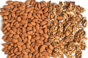 Mix of peeled walnuts and almonds.