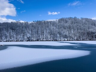 Frozen lake surrounded by forest