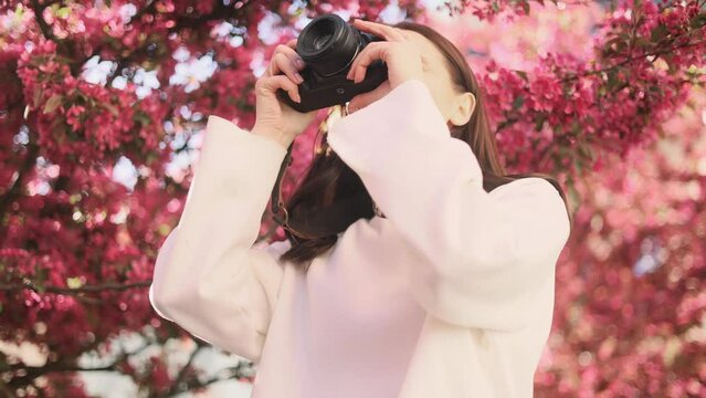 Portrait of pretty dark haired woman photographer hold digital camera and take photo of beautiful pink blossom trees at park Charming young tourist female taking pictures outdoors