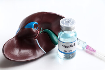 Hepatitis B vaccine in a vial, immunization and treatment of infection