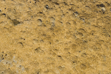 natural stone texture on the coast close-up of the rocky seabed abstract background
