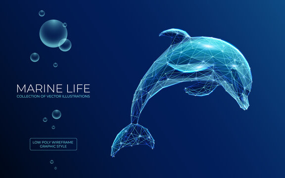 Abstract jumping dolphin in polygons on technology blue background. Low poly wireframe marine life concept. Polygonal 3D vector illustration.