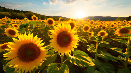 A field of sunflowers with their bright yellow petals facing the sun, creating a cheerful and uplifting scenery. Generative AI