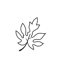 Obraz premium Leaf line abstract design illustration