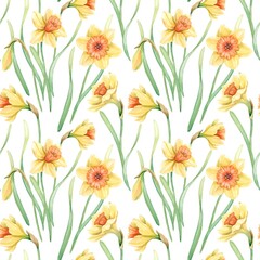 Seamless floral background with bright yellow blooming daffodils and green leaves on white. Hand-drawn watercolor illustration. Spring design for fabric, wrapping paper, cover, packaging.