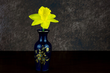 Small Old Oriental Flower Vase with Single Daffodil on a Wooden Shelf