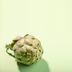 Fresh green artichokes isolated on green background