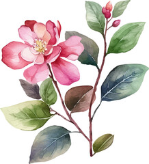 A watercolor painting of a pink and purple flower with green leaves