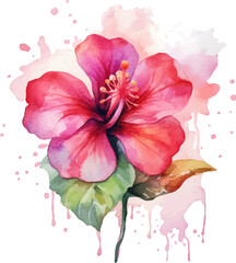 watercolor illustration of pink flower