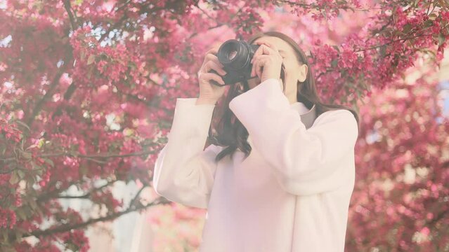 Portrait of pretty dark haired woman photographer hold digital camera and take photo of beautiful pink blossom trees at park Charming young tourist female taking pictures outdoors