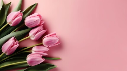 pink tulips on a pink background, Generative AI