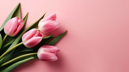 pink tulips on a pink background, Generative AI