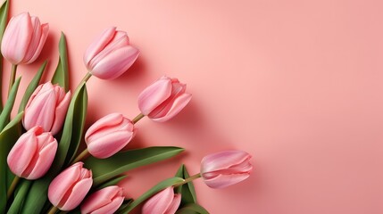 Fototapeta premium pink tulips on a pink background, Generative AI