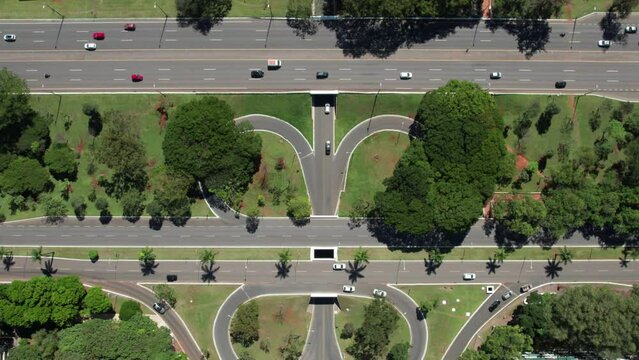 Tesourinas do eixao em Brasilia - Brasil