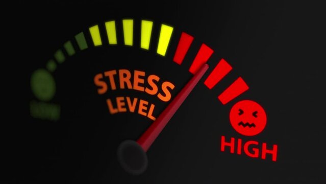 Increased the Stress Level Indicator to the Maximum Level
