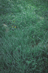 公園でのスナップ写真