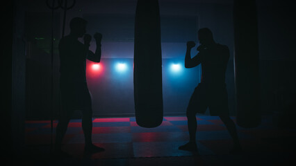 Intense training of experienced boxers