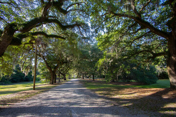 Entrance to the McLeod Plantation Historic Site, Charleston, SC