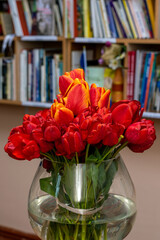 Bouquet of red tulips in glass vase with water on blur bookshelf background, literature, library or study day background
