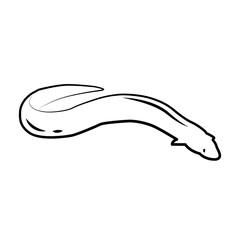 Japanese eel. Hand drawn river eel fish isolated. Engraved style vector illustration. Template for your design works.