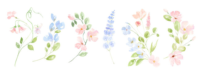 Watercolor Pink and blue wild flowers, branches, leaves and twigs. Watercolor bouquet , wreaths and borders with wild pink and blue flowers,
