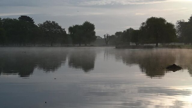 Misty pond early morning near Heathrow airport flight path