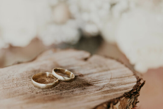 Anillos de boda sobre madera cortada 