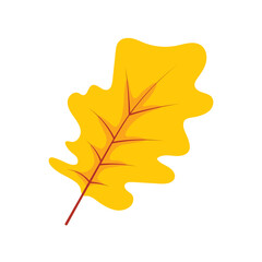 Obraz premium Autumn Leaves Illustration