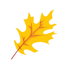 Obraz premium Autumn Leaves Illustration