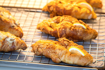 Lemon crispy baked croissants which are placed on the tray at bakery shop. Bakery food object photo, selective focus at front.