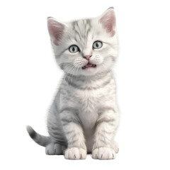 Cute baby smiling cat. Transparent isolated background. AI generated