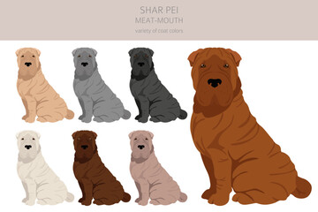 Shar Pei (modern) meat mouth clipart. Different poses, coat colors set