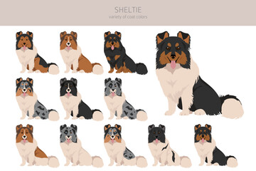 Sheltie, Shetland sheepdog clipart. Different poses, coat colors set
