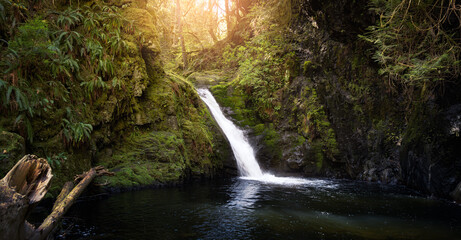 Waterfall in Nature Forest, sunny spring season day. Goldstream Falls, near Victoria, Vancouver Island, British Columbia, Canada.