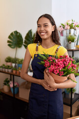 Young african american woman florist smiling confident holding plant at flower shop
