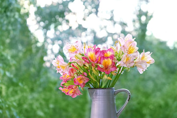 Bouquet of colorful Alstroemeria flowers in vase close up, abstract natural green background. beautiful Peruvian Lilies (Alstroemeria). spring, summer floral season. template for design. copy space