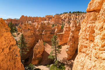 Hiking trail through the hoodoos and sandstone canyons of Bryce Canyon National 
Park Utah with a cloudless blue sky.