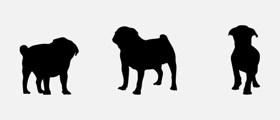 Naklejka premium isolated black silhouette of a pug dog , vector collection