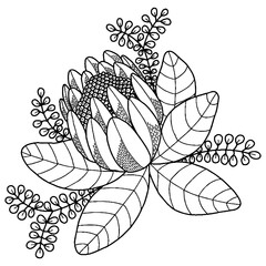 Vector beautiful flower for coloring book or page