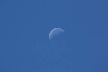 The moon