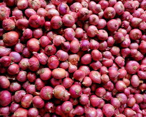 Fresh onions as a background. Onions.