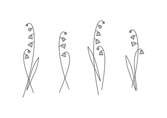 Lily valley branch colorless black contour line drawing tattoo flower, nature, botany. Minimalist contour drawing. One line artwork. Editable stroke © Ewelina